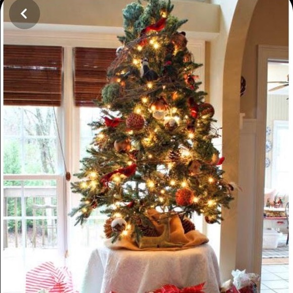 Meet your Posher, Anuja - Picture 1 of 1